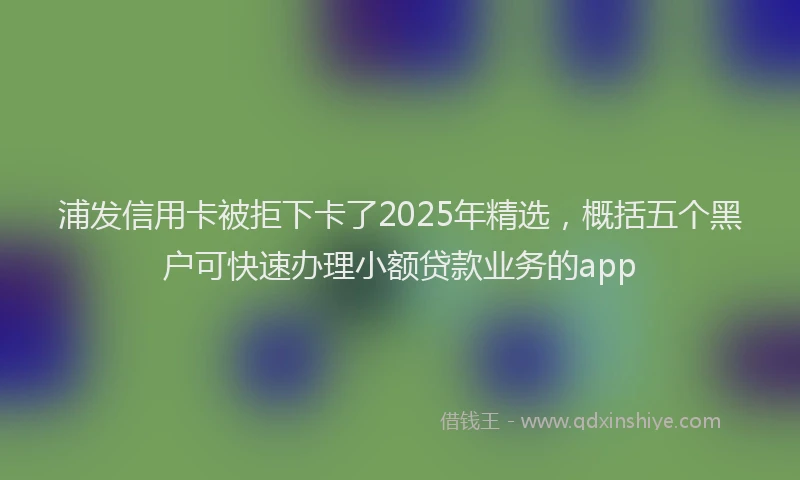 浦发信用卡被拒下卡了2025年精选，概括五个黑户可快速办理小额贷款业务的app