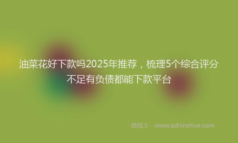 油菜花好下款吗2025年推荐，梳理5个综合评分不足有负债都能下款平台