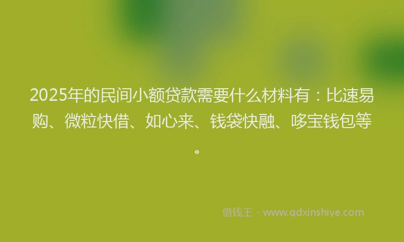 2025年的民间小额贷款需要什么材料有：比速易购、微粒快借、如心来、钱袋快融、哆宝钱包等。