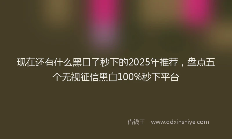 现在还有什么黑口子秒下的2025年推荐，盘点五个无视征信黑白100%秒下平台