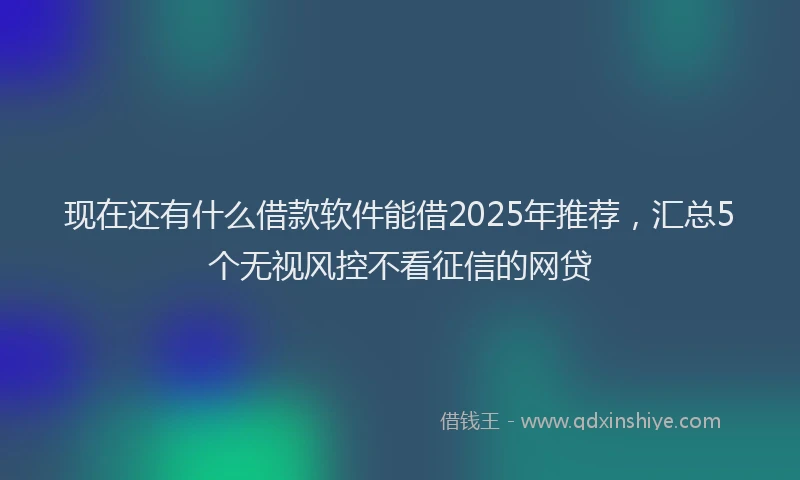 现在还有什么借款软件能借2025年推荐，汇总5个无视风控不看征信的网贷