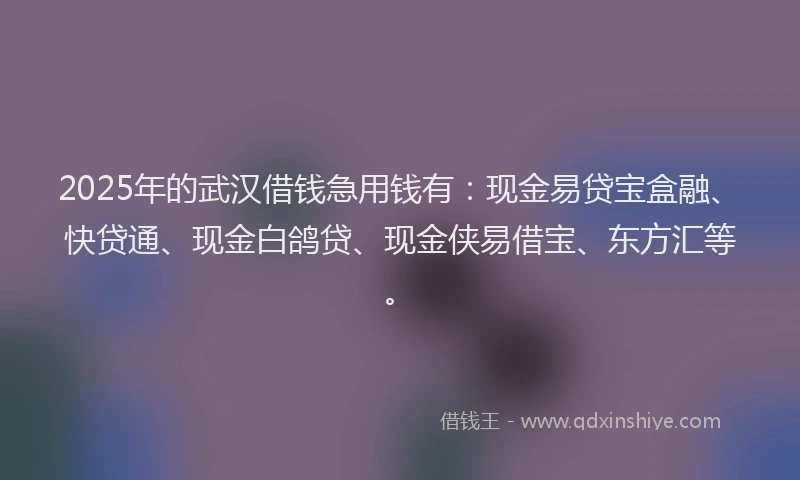 2025年的武汉借钱急用钱有：现金易贷宝盒融、快贷通、现金白鸽贷、现金侠易借宝、东方汇等。