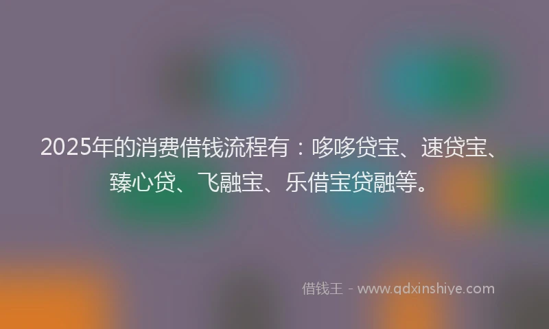 2025年的消费借钱流程有：哆哆贷宝、速贷宝、臻心贷、飞融宝、乐借宝贷融等。