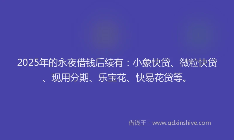 2025年的永夜借钱后续有：小象快贷、微粒快贷、现用分期、乐宝花、快易花贷等。