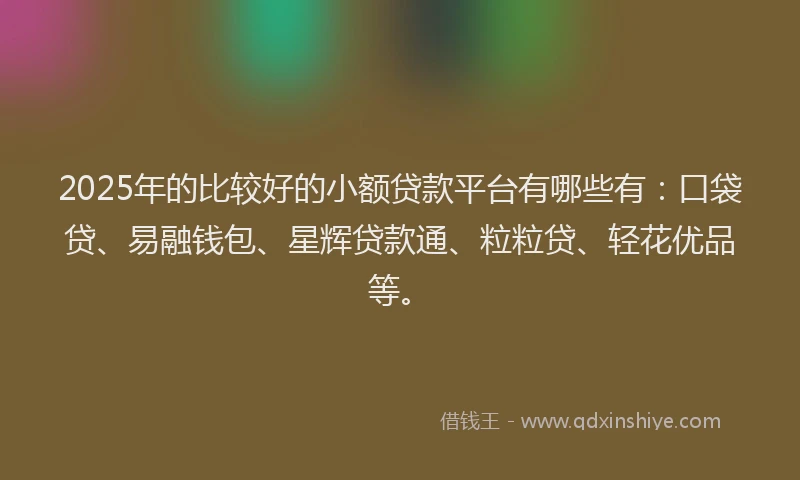2025年的比较好的小额贷款平台有哪些有：口袋贷、易融钱包、星辉贷款通、粒粒贷、轻花优品等。