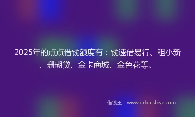 2025年的点点借钱额度有：钱速借易行、租小新、珊瑚贷、金卡商城、金色花等。