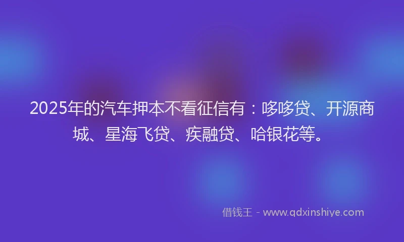 2025年的汽车押本不看征信有：哆哆贷、开源商城、星海飞贷、疾融贷、哈银花等。
