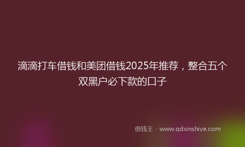 滴滴打车借钱和美团借钱2025年推荐，整合五个双黑户必下款的口子
