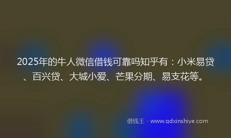 2025年的牛人微信借钱可靠吗知乎有：小米易贷、百兴贷、大城小爱、芒果分期、易支花等。