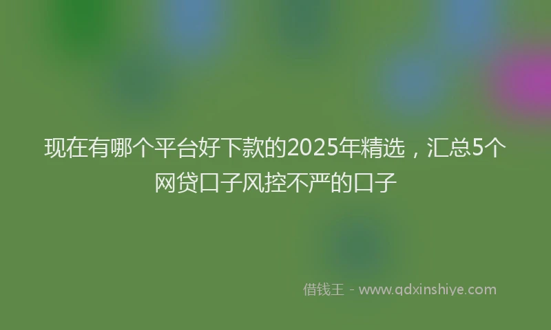 现在有哪个平台好下款的2025年精选，汇总5个网贷口子风控不严的口子