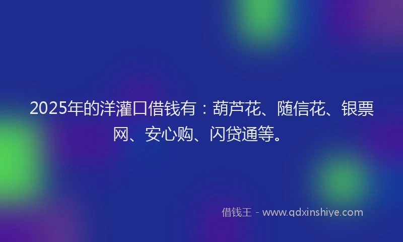 2025年的洋灌口借钱有：葫芦花、随信花、银票网、安心购、闪贷通等。
