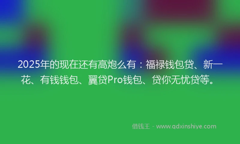 2025年的现在还有高炮么有：福禄钱包贷、新一花、有钱钱包、翼贷Pro钱包、贷你无忧贷等。