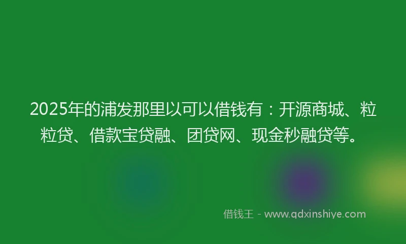 2025年的浦发那里以可以借钱有：开源商城、粒粒贷、借款宝贷融、团贷网、现金秒融贷等。