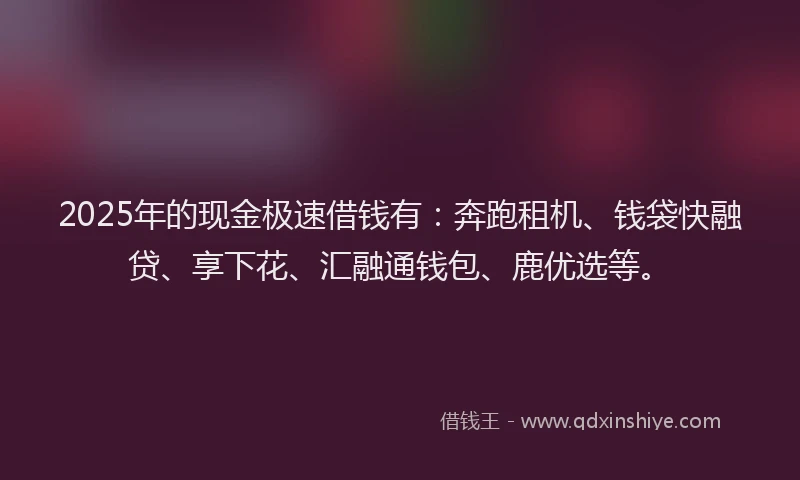 2025年的现金极速借钱有：奔跑租机、钱袋快融贷、享下花、汇融通钱包、鹿优选等。