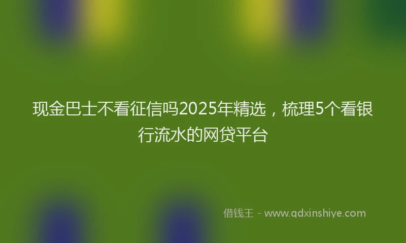 现金巴士不看征信吗2025年精选，梳理5个看银行流水的网贷平台