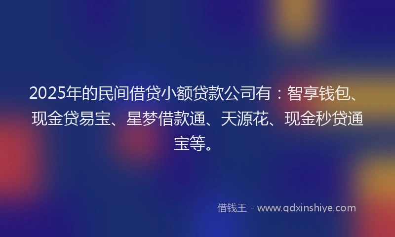 2025年的民间借贷小额贷款公司有：智享钱包、现金贷易宝、星梦借款通、天源花、现金秒贷通宝等。