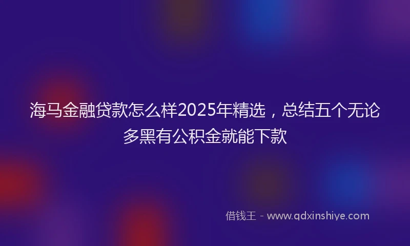海马金融贷款怎么样2025年精选，总结五个无论多黑有公积金就能下款