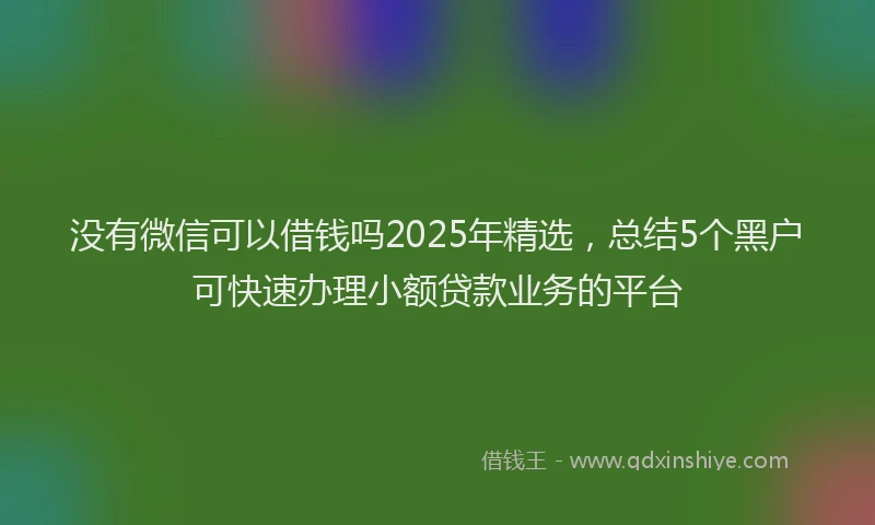 没有微信可以借钱吗2025年精选，总结5个黑户可快速办理小额贷款业务的平台