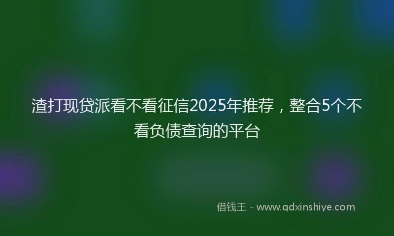 渣打现贷派看不看征信2025年推荐，整合5个不看负债查询的平台