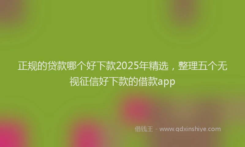 正规的贷款哪个好下款2025年精选，整理五个无视征信好下款的借款app