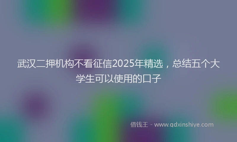 武汉二押机构不看征信2025年精选，总结五个大学生可以使用的口子