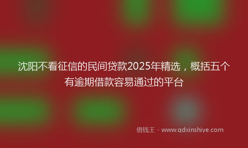 沈阳不看征信的民间贷款2025年精选，概括五个有逾期借款容易通过的平台