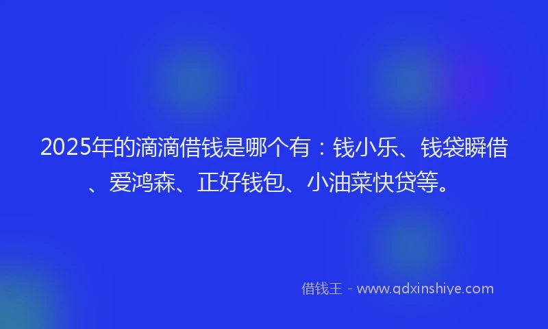2025年的滴滴借钱是哪个有：钱小乐、钱袋瞬借、爱鸿森、正好钱包、小油菜快贷等。
