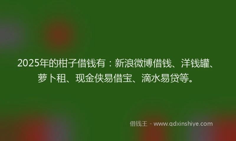 2025年的柑子借钱有：新浪微博借钱、洋钱罐、萝卜租、现金侠易借宝、滴水易贷等。