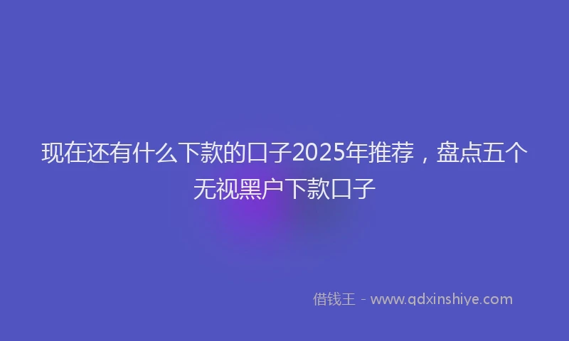 现在还有什么下款的口子2025年推荐，盘点五个无视黑户下款口子