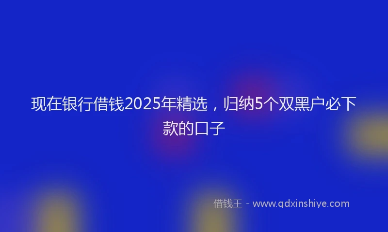 现在银行借钱2025年精选，归纳5个双黑户必下款的口子
