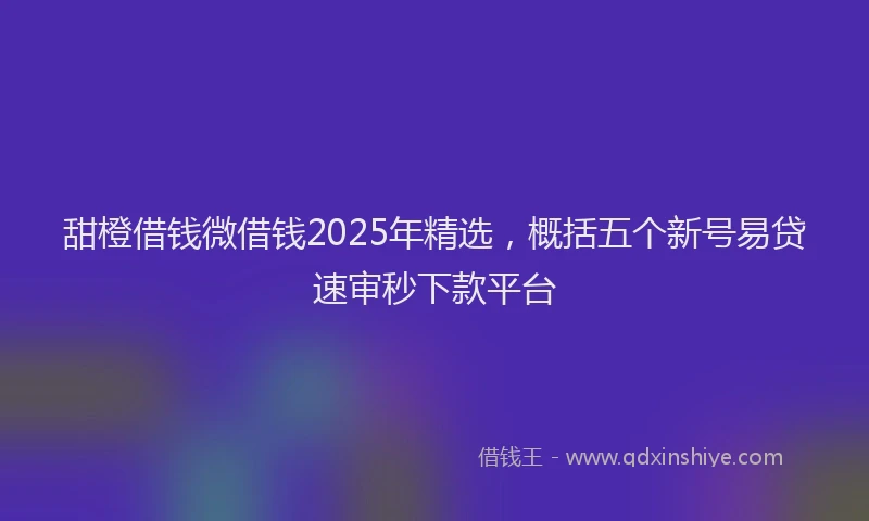 甜橙借钱微借钱2025年精选，概括五个新号易贷速审秒下款平台