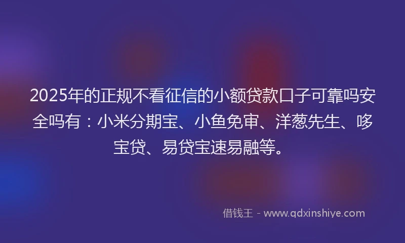 2025年的正规不看征信的小额贷款口子可靠吗安全吗有：小米分期宝、小鱼免审、洋葱先生、哆宝贷、易贷宝速易融等。