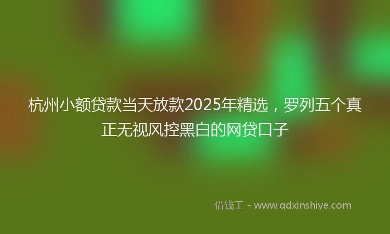 杭州小额贷款当天放款2025年精选，罗列五个真正无视风控黑白的网贷口子