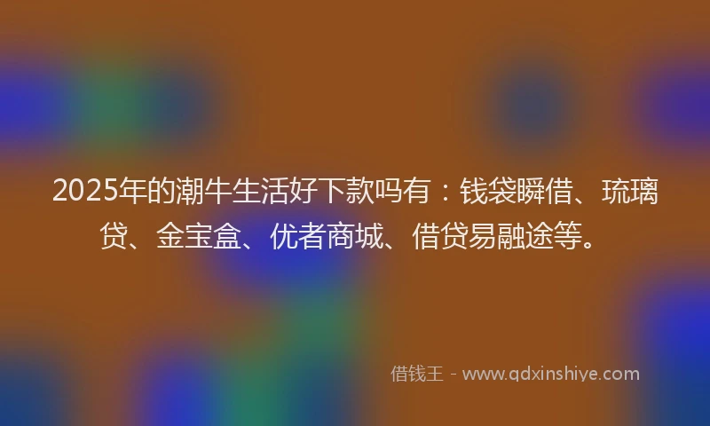 2025年的潮牛生活好下款吗有：钱袋瞬借、琉璃贷、金宝盒、优者商城、借贷易融途等。