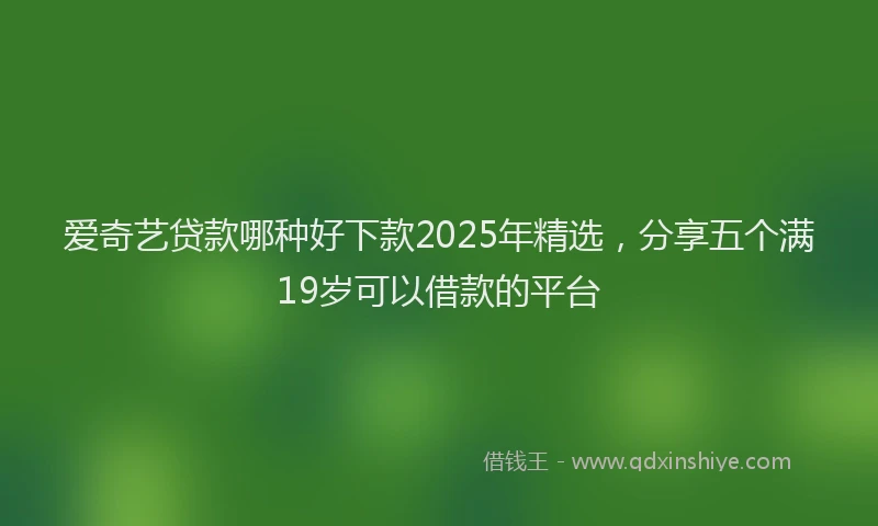 爱奇艺贷款哪种好下款2025年精选，分享五个满19岁可以借款的平台