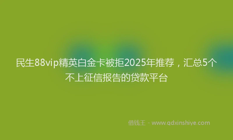 民生88vip精英白金卡被拒2025年推荐，汇总5个不上征信报告的贷款平台
