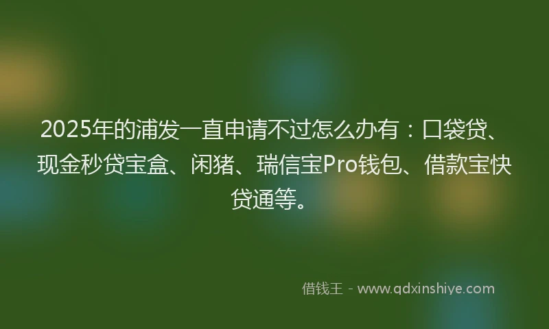 2025年的浦发一直申请不过怎么办有：口袋贷、现金秒贷宝盒、闲猪、瑞信宝Pro钱包、借款宝快贷通等。