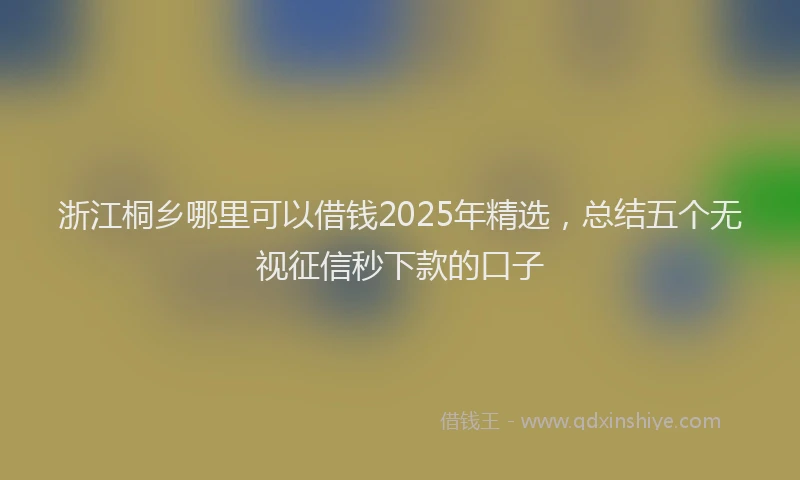 浙江桐乡哪里可以借钱2025年精选，总结五个无视征信秒下款的口子