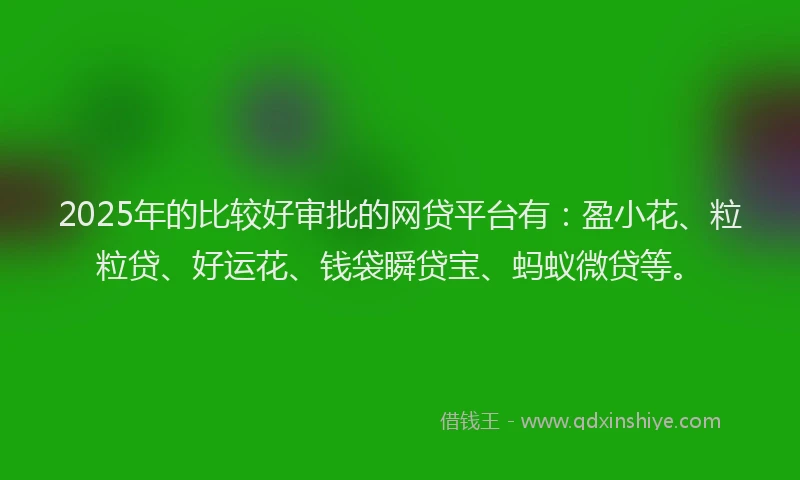 2025年的比较好审批的网贷平台有：盈小花、粒粒贷、好运花、钱袋瞬贷宝、蚂蚁微贷等。
