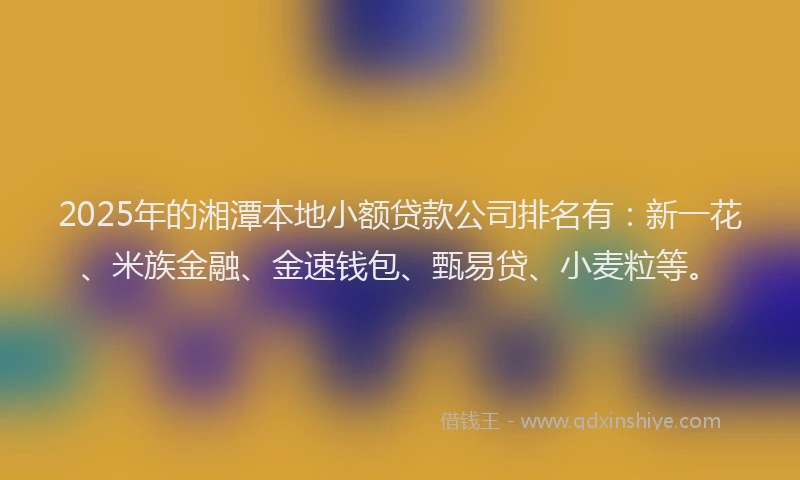 2025年的湘潭本地小额贷款公司排名有：新一花、米族金融、金速钱包、甄易贷、小麦粒等。