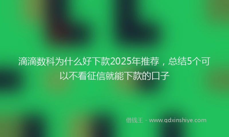 滴滴数科为什么好下款2025年推荐，总结5个可以不看征信就能下款的口子