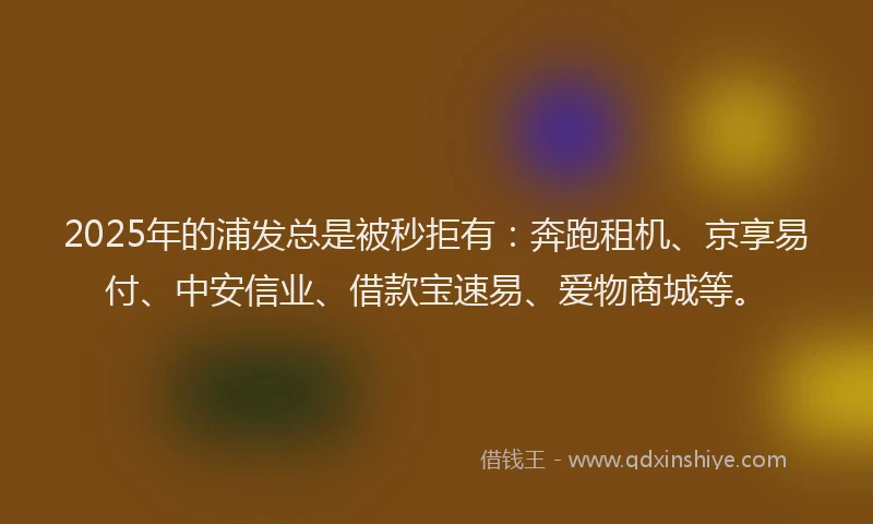 2025年的浦发总是被秒拒有：奔跑租机、京享易付、中安信业、借款宝速易、爱物商城等。