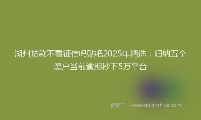 湖州贷款不看征信吗贴吧2025年精选，归纳五个黑户当前逾期秒下5万平台