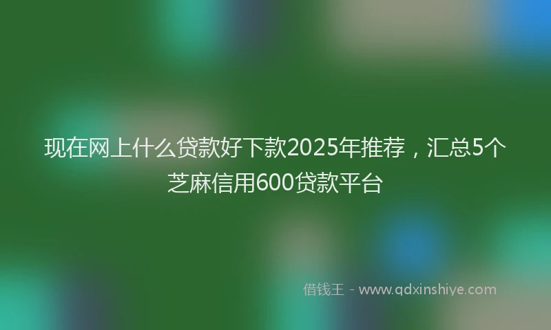 现在网上什么贷款好下款2025年推荐，汇总5个芝麻信用600贷款平台