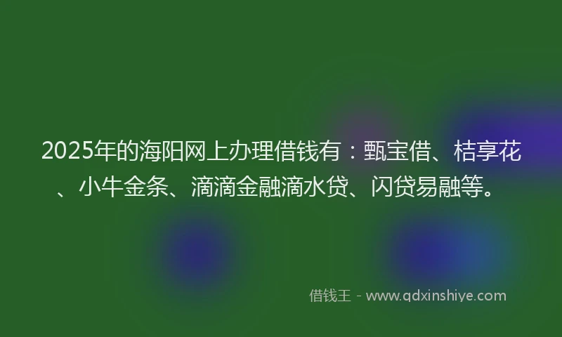 2025年的海阳网上办理借钱有：甄宝借、桔享花、小牛金条、滴滴金融滴水贷、闪贷易融等。