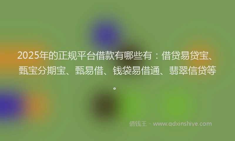 2025年的正规平台借款有哪些有：借贷易贷宝、甄宝分期宝、甄易借、钱袋易借通、翡翠信贷等。