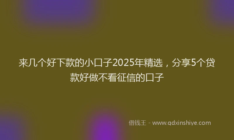 来几个好下款的小口子2025年精选，分享5个贷款好做不看征信的口子