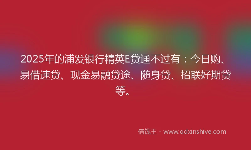2025年的浦发银行精英E贷通不过有：今日购、易借速贷、现金易融贷途、随身贷、招联好期贷等。
