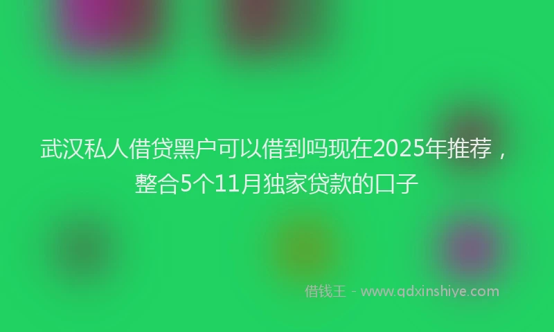 武汉私人借贷黑户可以借到吗现在2025年推荐，整合5个11月独家贷款的口子