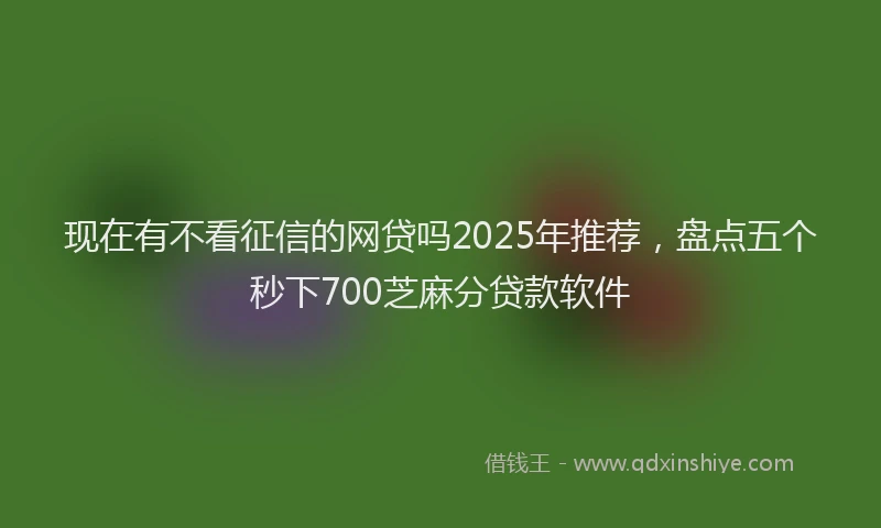 现在有不看征信的网贷吗2025年推荐，盘点五个秒下700芝麻分贷款软件